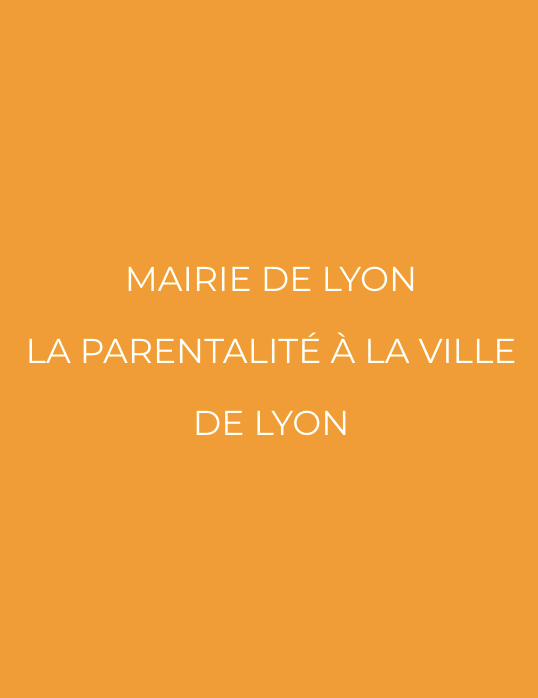 Mairie De Lyon Parentalite Infographie Une 