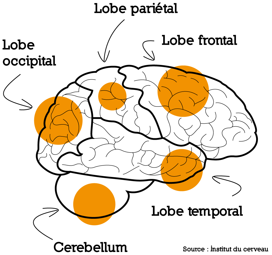 ILLU 1